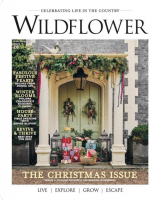 Wildflower Magazine  - Winter 2022 Issue